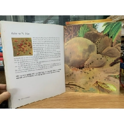 Ngụ ngôn Aesop -Huyền Vũ dịch 752248