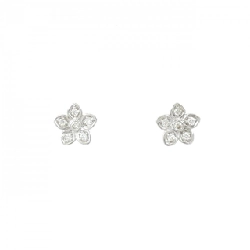 Graph Hoa Dại Petit Bông Tai - Hàng hiệu Chính hãng