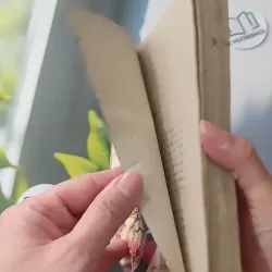 [XƯA] Sự Lừa Dối Kinh Khủng - 25 năm tôi làm việc ở CIA (1988) - Ráp Mắc Ghi 997772