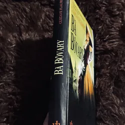 Bà Bovary (bìa cứng) 737310