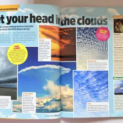 The Week Junior Annual 2019 - Bách khoa giải trí 999819