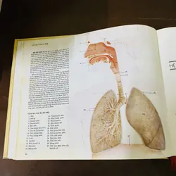 Cẩm nang sức khoẻ gia đình  723379