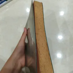 Tôi là Eri 🌱 590975