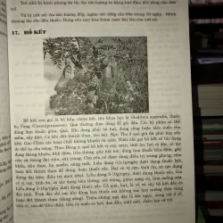 Cẩm nang chăm sóc sức khỏe cho mọi nhà - Hướng dẫn sử dụng cây thuốc và vị thuốc Việt Nam  749051