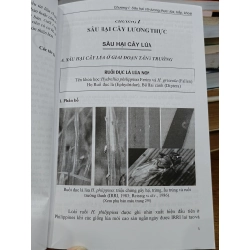 Côn trùng gây hại cây trồng - PGS.TS.Nguyễn Văn Huỳnh & TS.Lê Thị Sen 476631