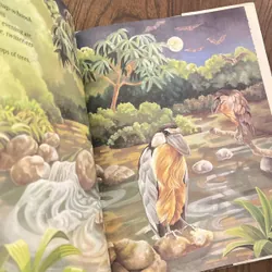 ✨𝑾𝒆𝒍𝒄𝒐𝒎𝒆 𝒕𝒐 𝒕𝒉𝒆 𝑮𝒓𝒆𝒆𝒏 𝑯𝒐𝒖𝒔𝒆✨ 734967