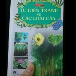 Từ điển tranh về các loài cây 7977