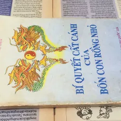 BÍ QUYẾT CẤT CÁNH CỦA BỐN CON RỒNG NHỎ 1002217