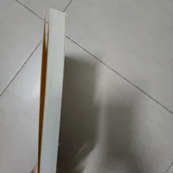 Sách Những chuyến dạo chơi của Thoreau 716813