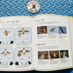 내 친구 과학공룡 (Bạn khủng long khoa học của bé) set 1 755668