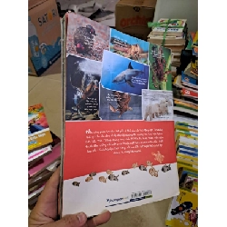 Quyển sách kỳ thú về động vật - mới 80% rách gáy - KHOA HỌC ĐỜI SỐNG - HCM0111 920819