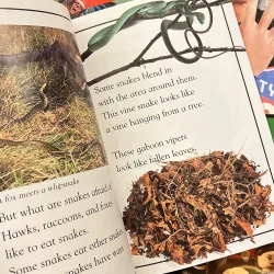 ✨𝑫𝑲 𝑹𝒆𝒂𝒅𝒆𝒓𝒔 4-𝑩𝒐𝒐𝒌 𝑺𝒆𝒕 (𝑳𝒆𝒗𝒆𝒍 2)✨ 780838