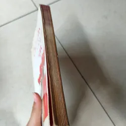 Câu chuyện từ trái tim 🌱 569561