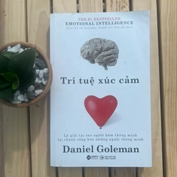 Sách Trí tuệ cảm xúc - Daniel Goleman - sách còn mới 98%