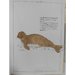 Thế giới động vật bằng tranh - Hồ Thủy An (dịch) 688023