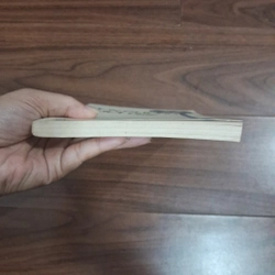Con đường tuổi trẻ 506981