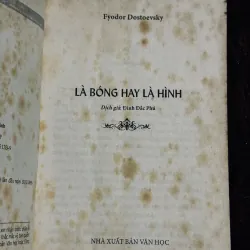 Combo Là bóng hay là hình + đêm trắng 756100