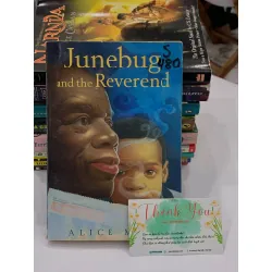 Junebug and the Reverend – Alice Mead