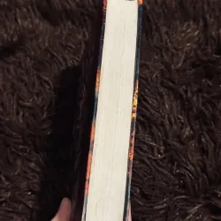 Rừng xanh lá đỏ 996357