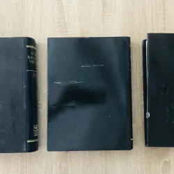 TỪ ĐIỂN BÁCH KHOA VIỆT NAM ( T1,2,3) 1000573