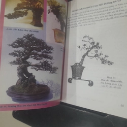 BONSAI - Cây dáng, thế và Non bộ 541969