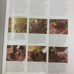 KNOWING AND GROWING ANNUALS & PERENNIALS (HIỂU VÀ TRỒNG CÂY HÀNG NĂM & LÂU NĂM) 689886