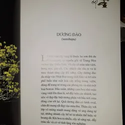 bonsai - Kunio Kobayashi 604214