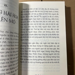 Mèo Đen Và Mắt Quỷ 536550
