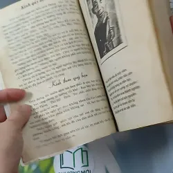 Cao Ly Đầu Hình 928568