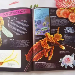 Discover the Extreme World 934756