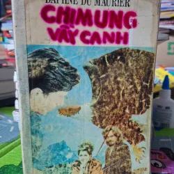 Chim Ưng Vẫy Cánh