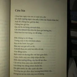 Cửa biển tình yêu - Nguyễn Viết Lãm 1004227