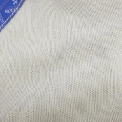 Túi Goyard Saint Louis Petit 610265