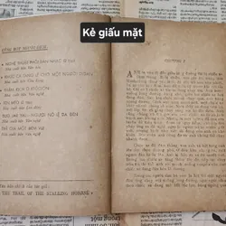 Kẻ giấu mặt - tiểu thuyết của Matthews Adam 716901