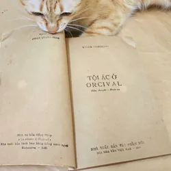 TỘI ÁC Ở ORCIVAL 703955