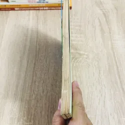 THIỀN GIỮA ĐỜI THƯỜNG  1007274