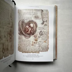 Leonardo Da Vinci 1028940