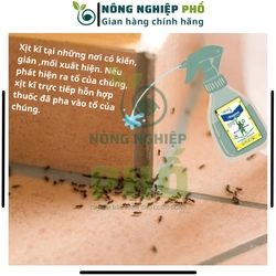 20 REGENT 800 (gói 1.6g) DATE MỚI - Diệt Kiến, Gián, Bọ Chét, Mạt, Rầy, Nhện, Bọ Trĩ, Sâu 508269