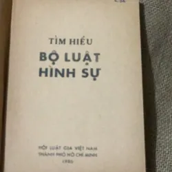 Tìm hiểu bộ luật Hình sự  567974