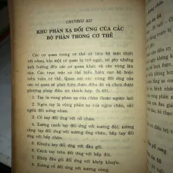 Xoa bóp bàn chân chữa bệnh - Chương Triều Khanh & Chương Bội Phong 1031478