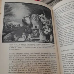 Sách ngoại văn Anh. ENVIRONMENT AND MAN. Dr Richard H. Wagner -State Colleg.  Oct 1970 733496