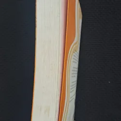 Chết! Sập bẫy rồi - King Kong Barbie 596238