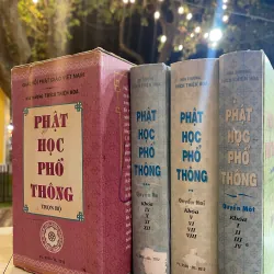PHẬT HỌC PHỔ THÔNG TRỌN BỘ (HỘP VÀ BÌA CỨNG) - THÍCH THIỆN HOA 