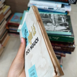 Nghi lễ đời người 🌱 507377