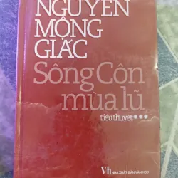 Sông Côn mùa lũ (3 tập )- Nguyễn Mộng Giác 588302