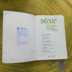DÉCLIC MATHS TERMINALE S 795477