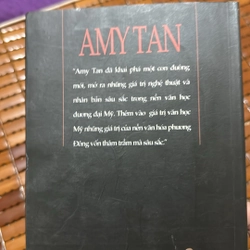 Phu nhân táo quân - AmyTan 534261