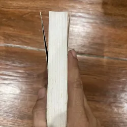 Thánh địa tội ác - William Faulkner (6) 570215