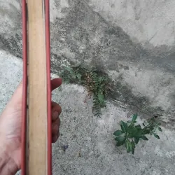 Quyền sư truyện của Trần Việt Trung  1025093