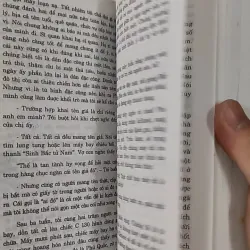 Nhà Lao Cây Dừa - Chu Lai 798338